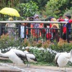 Gegara Belum Daftar via Online, Sejumlah Warga Tidak Bisa Masuk ke Taman Margasatwa Ragunan